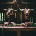 an amazonian private chefs chronicle    