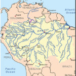 exploring amazonian gastronomy    