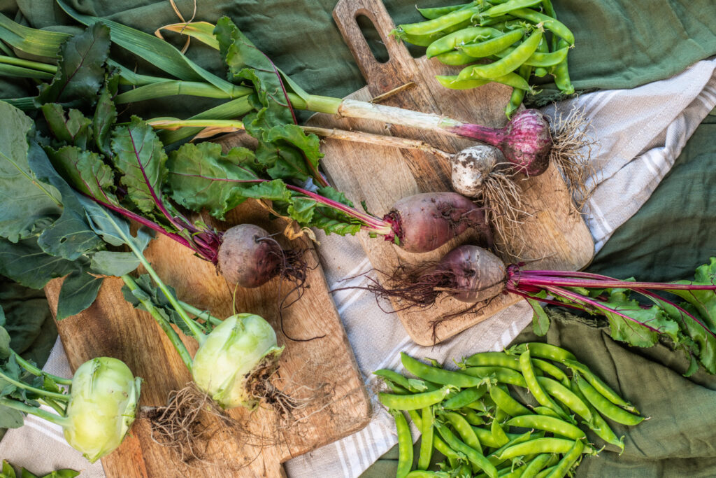 Freshly Harvested Kohlrabi Beetroot Garlic and Snow Peas on Wooden Board