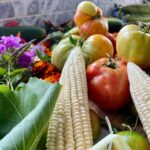 The Veggie Revolution: How Plants Took Over Fine Dining