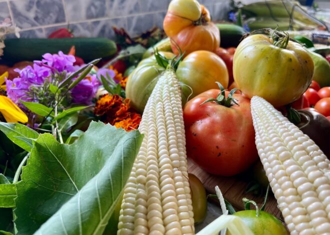 how vegetables took over modern cuisine  pot luck food talks